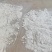广西木著淀粉