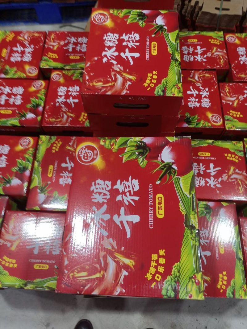 电白千禧圣女果大量供应一手货源欢迎全国各地来聊