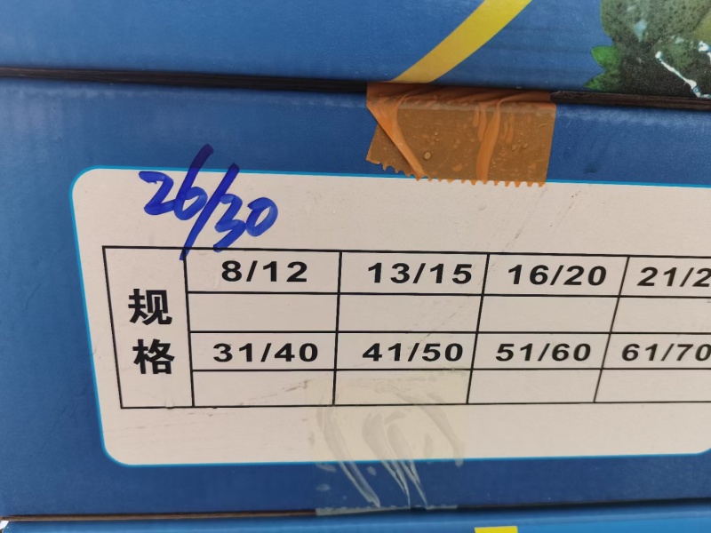 青虾仁板冻10斤全规格速冻虾肉海鲜冷冻青虾仁