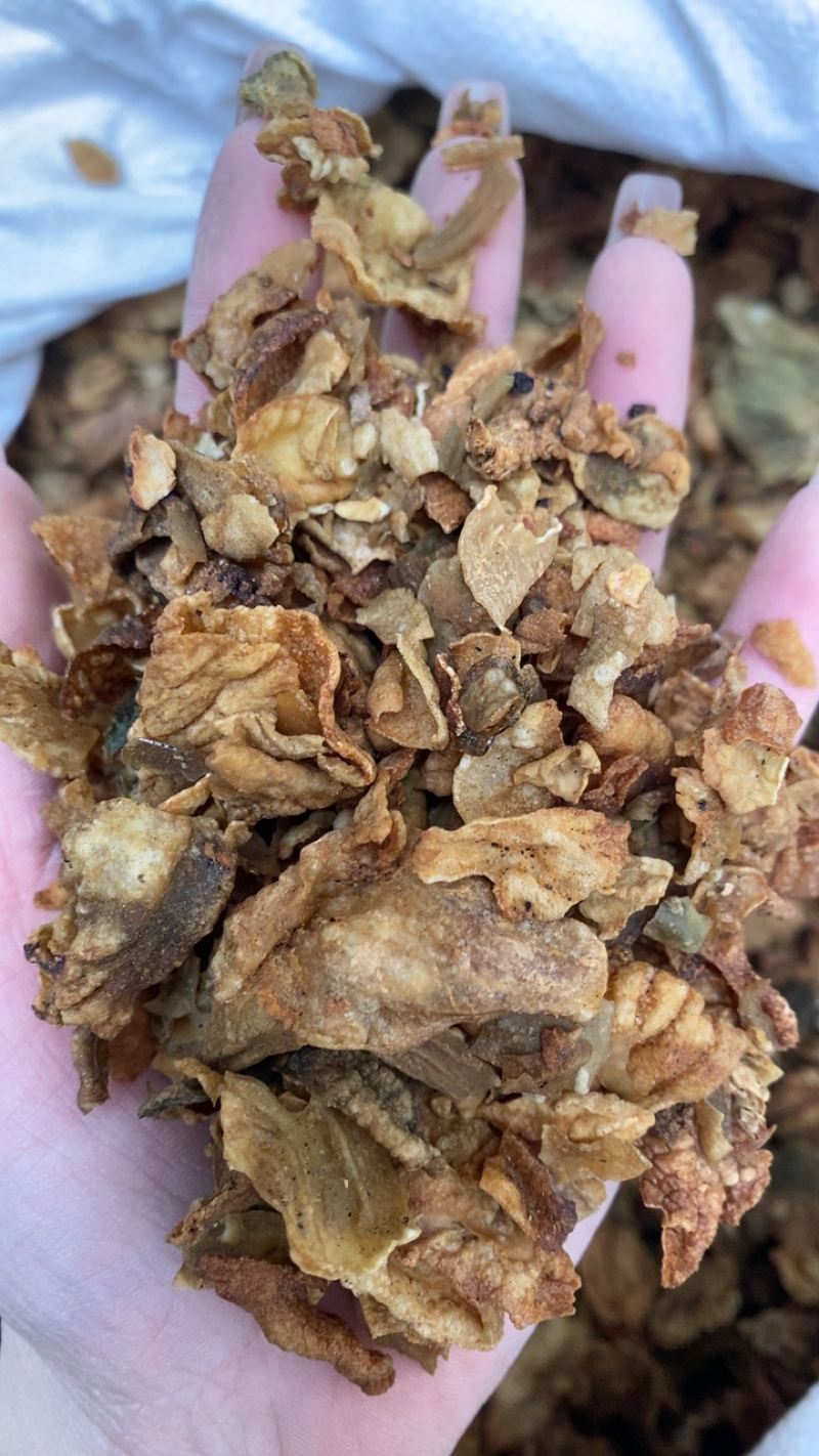 炒鸡内金