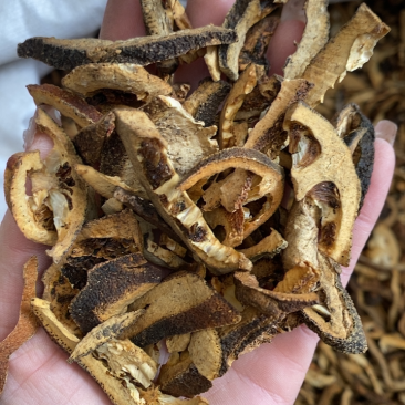 炒枳壳