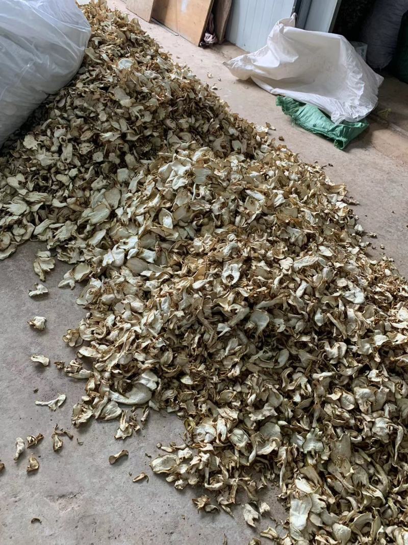 精品佛手片货源充足量大从优质量保证欢迎咨询