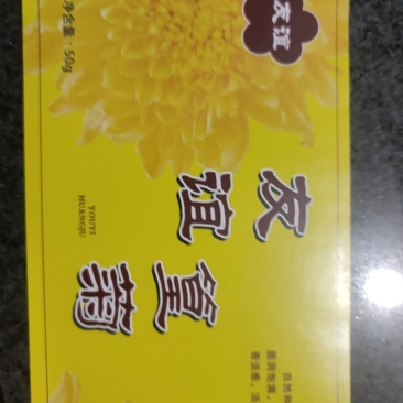 友谊金丝皇菊‘