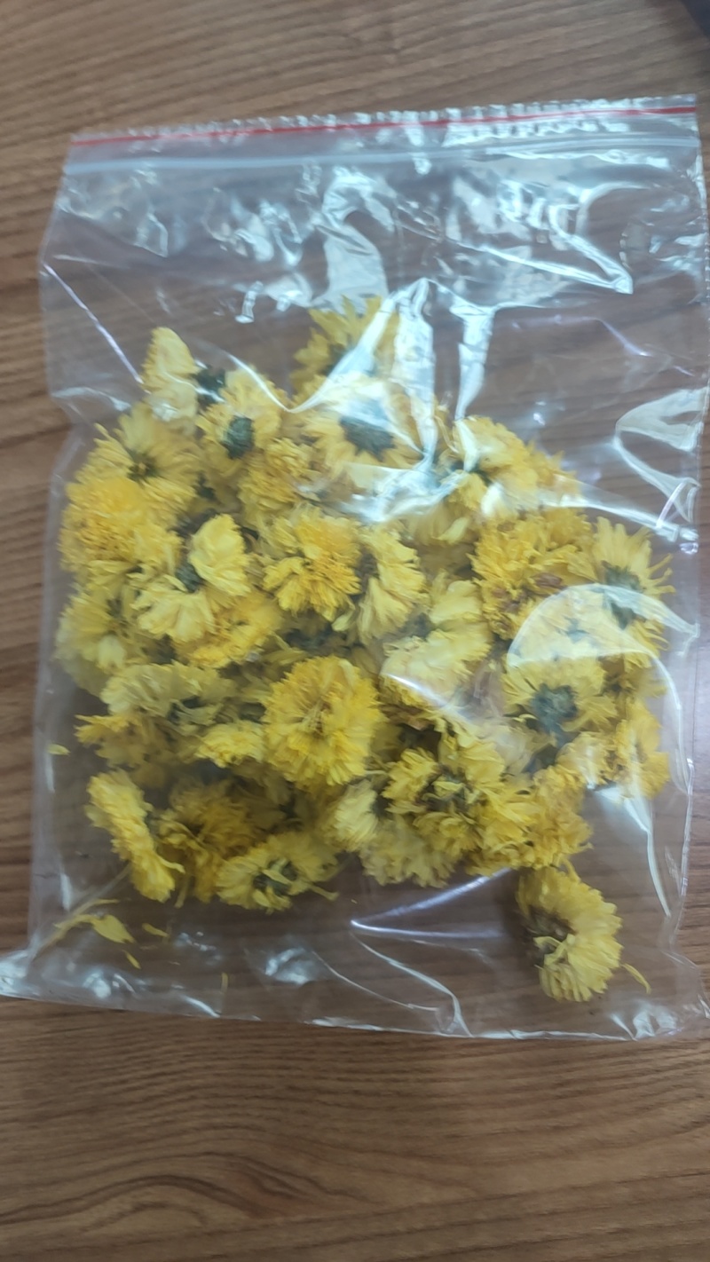 友谊金丝皇菊‘