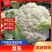 热卖精选菜花松花菜有机花菜产地直供各大商超市场电商来电