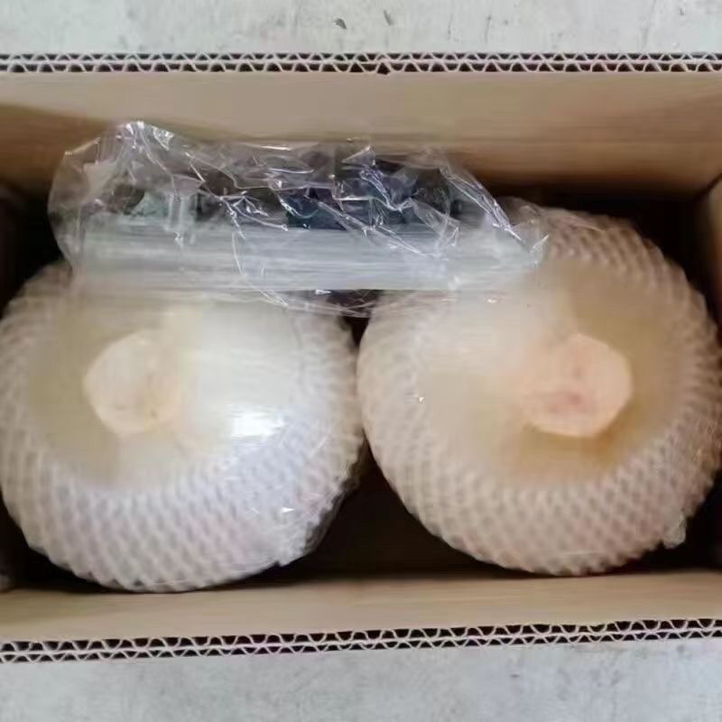 海南椰青