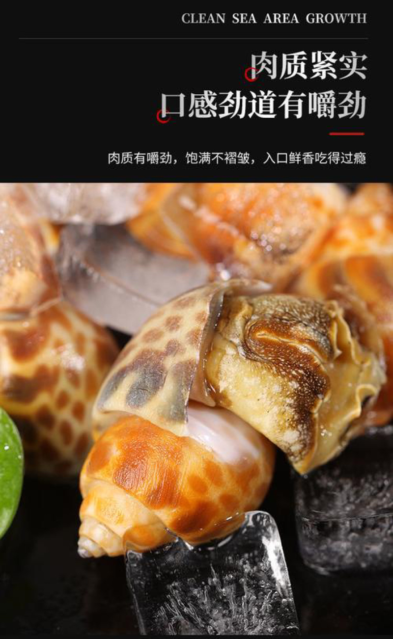 花螺鲜活速冻无泥无沙海螺捞汁小海鲜盐焗花螺
