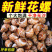 花螺鲜活速冻无泥无沙海螺捞汁小海鲜盐焗花螺