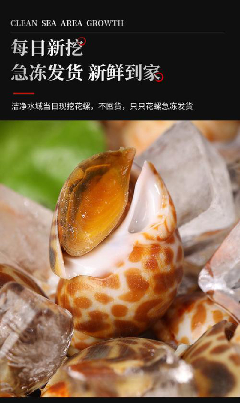 花螺鲜活速冻无泥无沙海螺捞汁小海鲜盐焗花螺