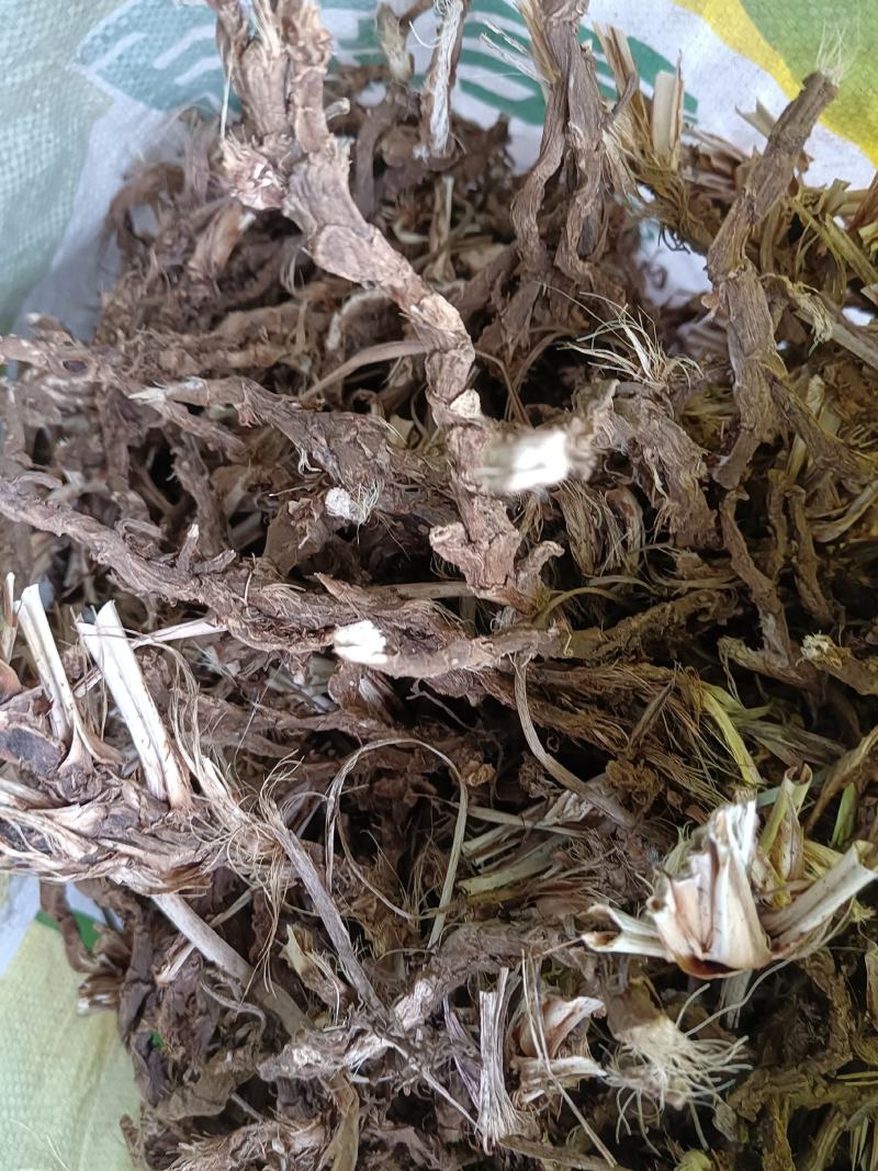 石菖蒲