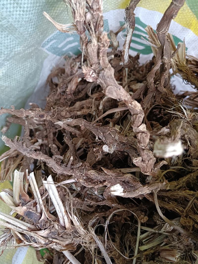 石菖蒲