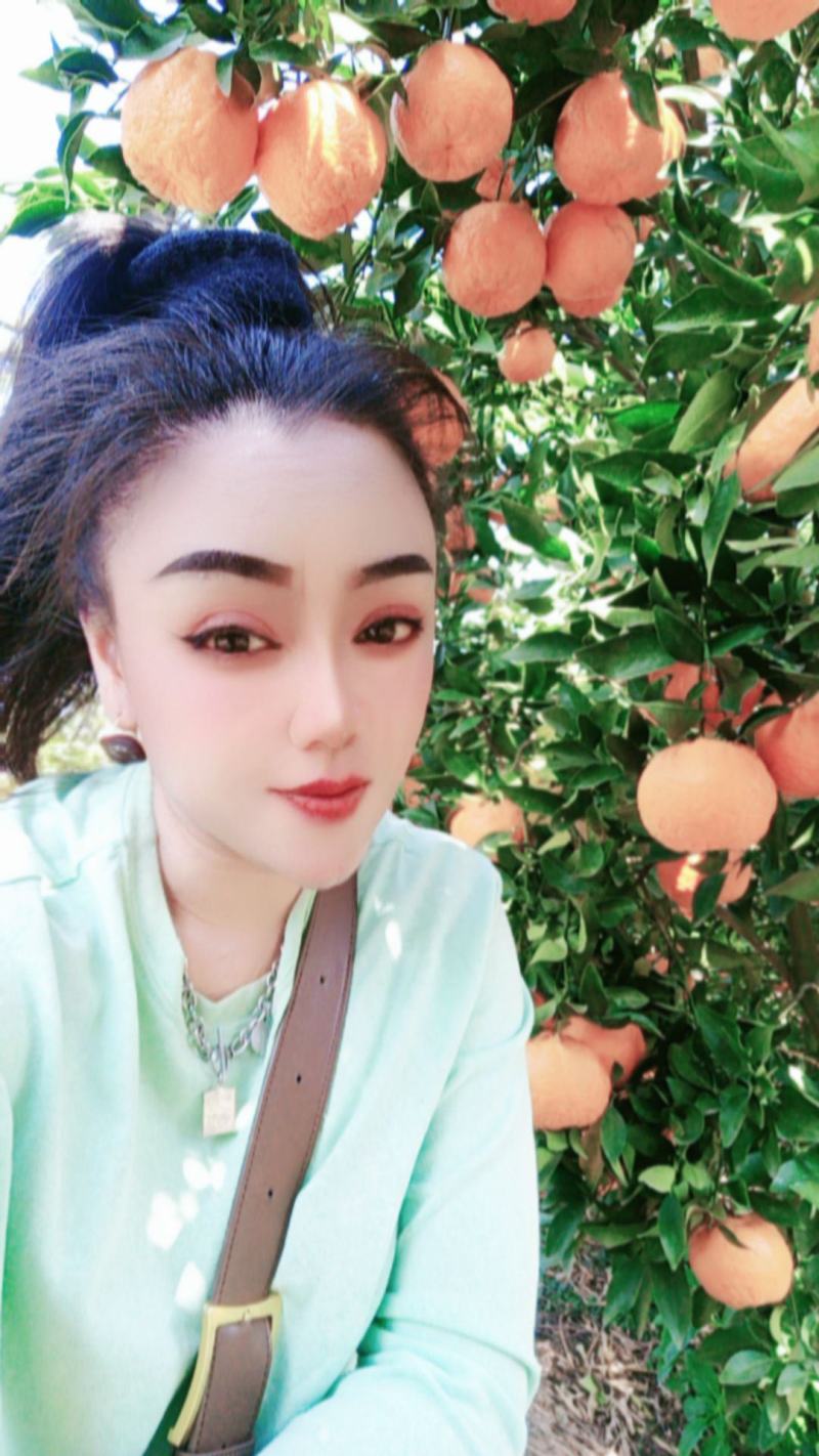 云南建水精品芦柑大量上市，基地实拍，看上的老板速联系！