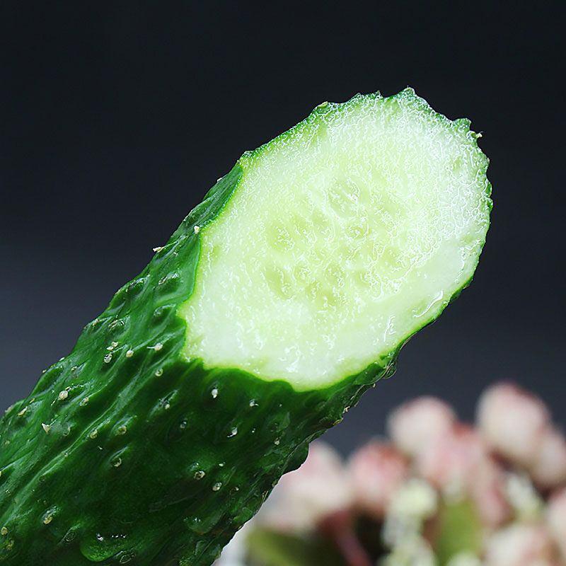 【超级福利】黄瓜新鲜一整箱带刺小黄瓜脆甜可生吃新鲜小青瓜