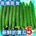 【超级福利】黄瓜新鲜一整箱带刺小黄瓜脆甜可生吃新鲜小青瓜