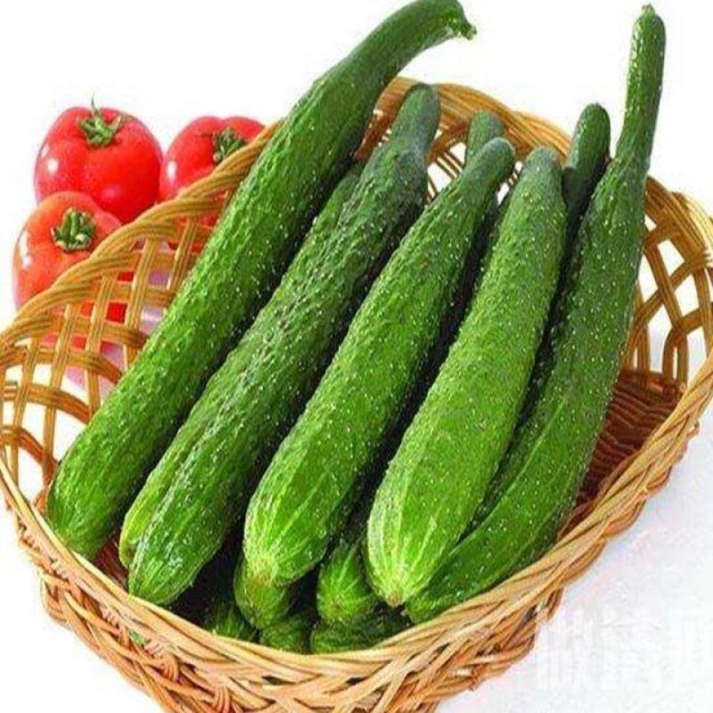 【超级福利】黄瓜新鲜一整箱带刺小黄瓜脆甜可生吃新鲜小青瓜