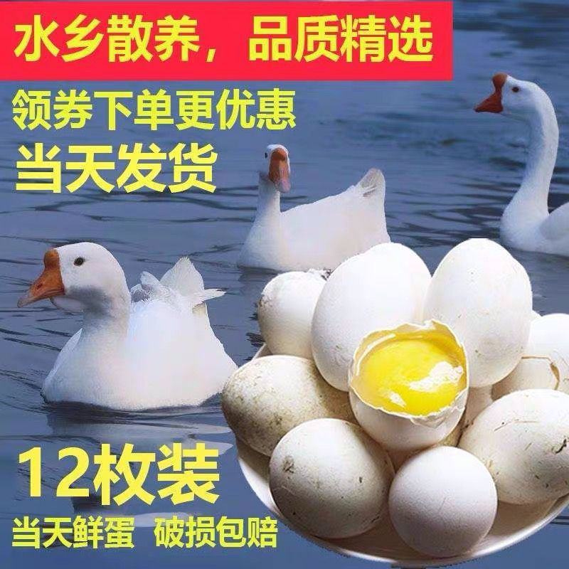新鲜鹅蛋微山湖农家散养孕妇生鹅蛋土鹅蛋现捡现发整箱土鹅蛋