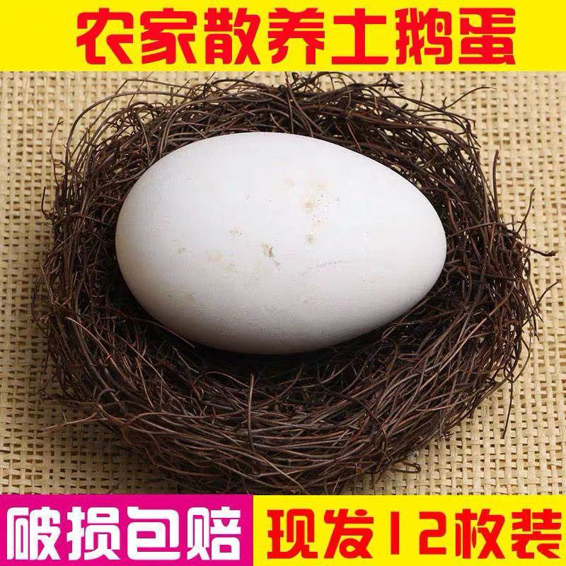 新鲜鹅蛋微山湖农家散养孕妇生鹅蛋土鹅蛋现捡现发整箱土鹅蛋