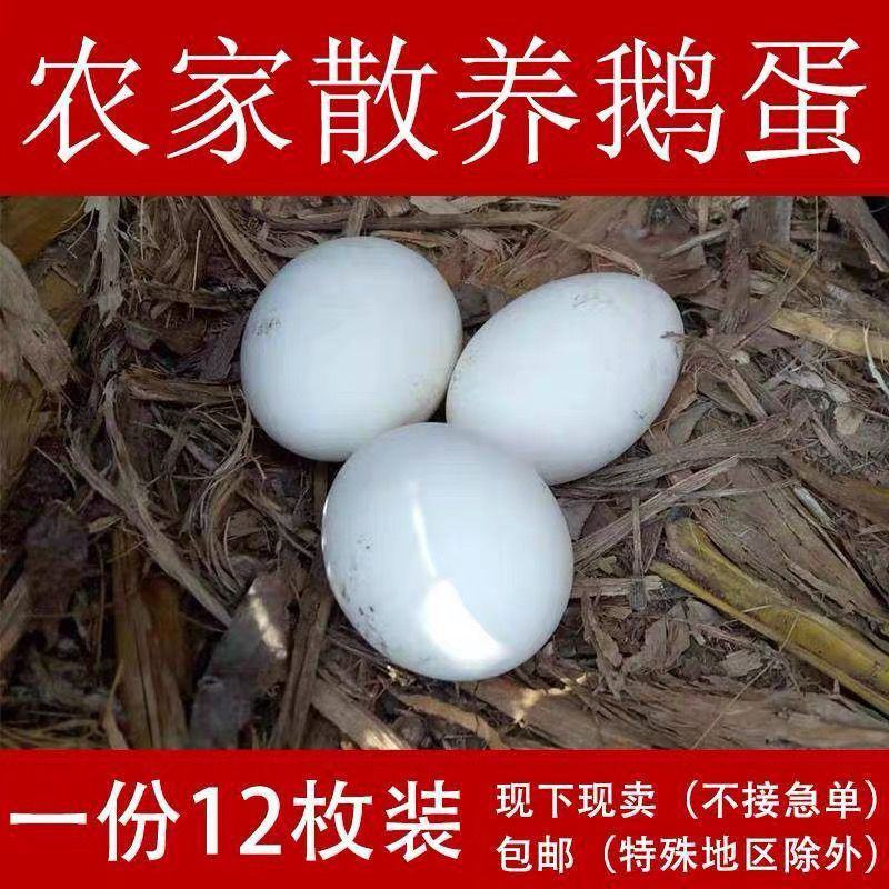 新鲜鹅蛋微山湖农家散养孕妇生鹅蛋土鹅蛋现捡现发整箱土鹅蛋