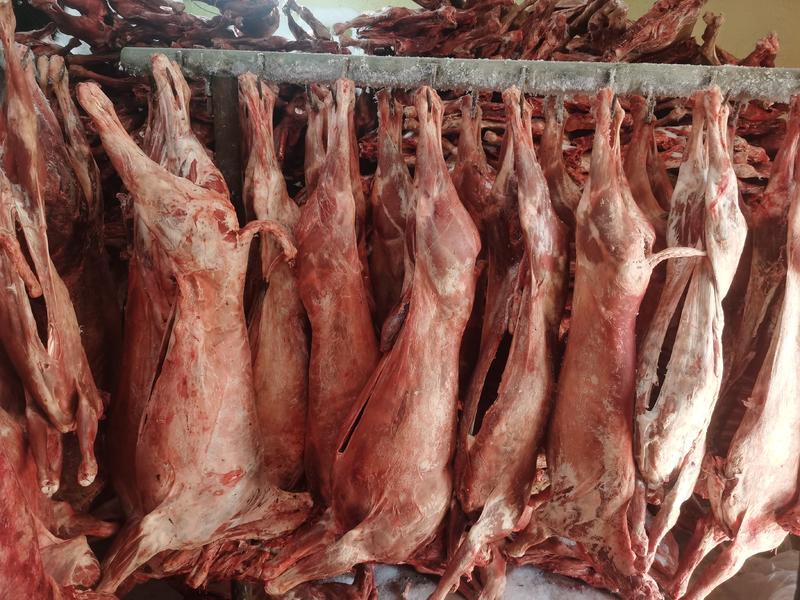 羊酮体烤全羊肉质好价格公道全年供货欢迎来电选购