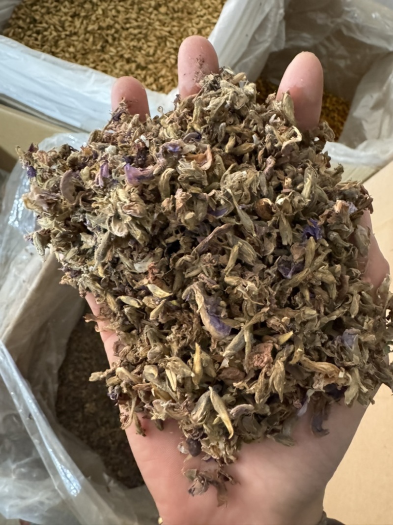 葛花葛根花中药材葛花