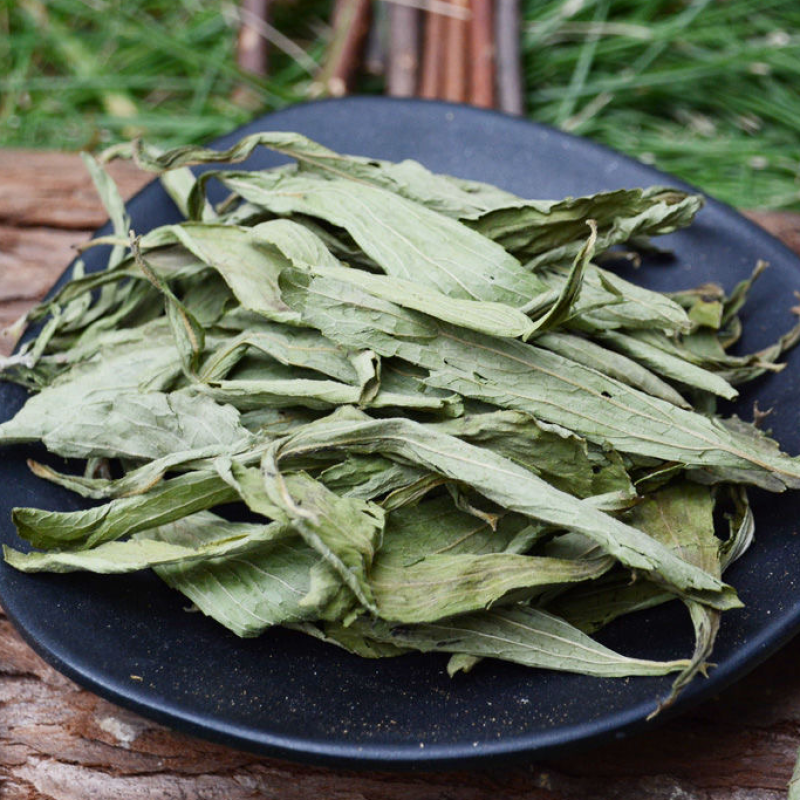 甜叶菊甜叶菊中药材甜叶菊花茶保庆药业甜菊叶
