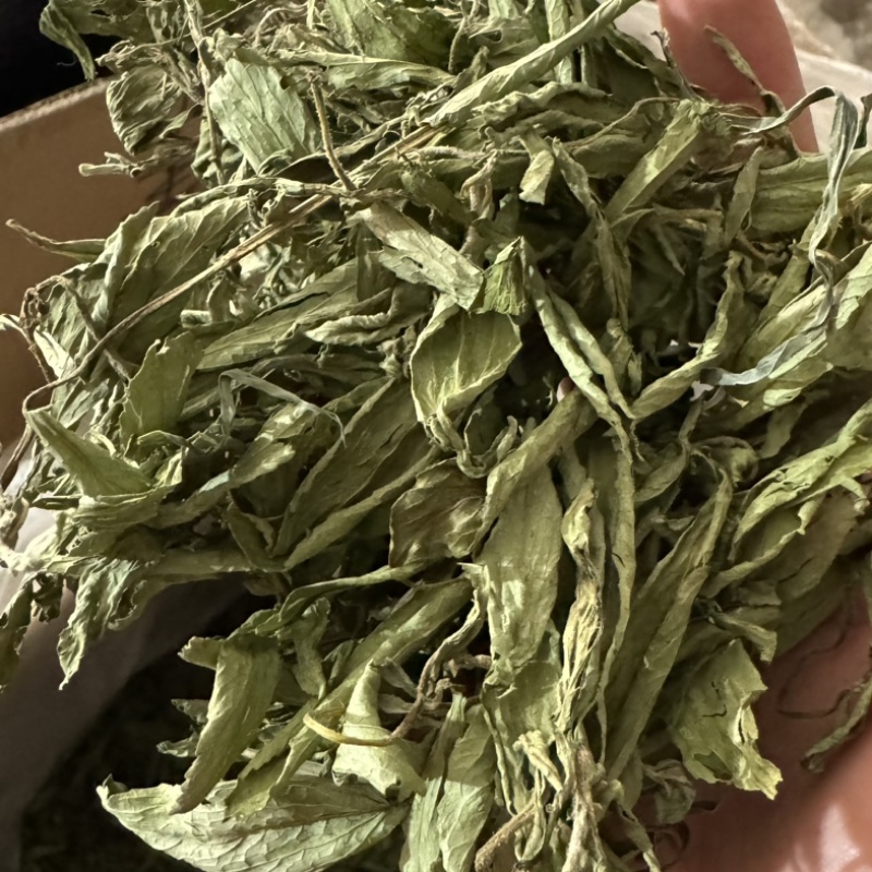 甜叶菊甜叶菊中药材甜叶菊花茶保庆药业甜菊叶
