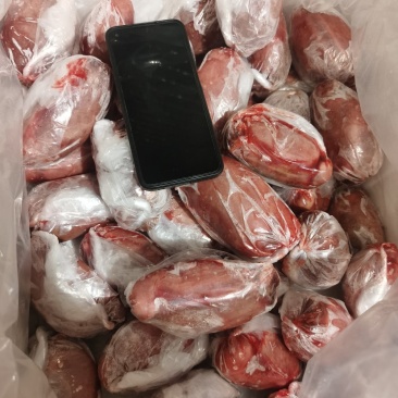羊宝羊外要羊蛋大量有货价格美丽欢迎来电咨询