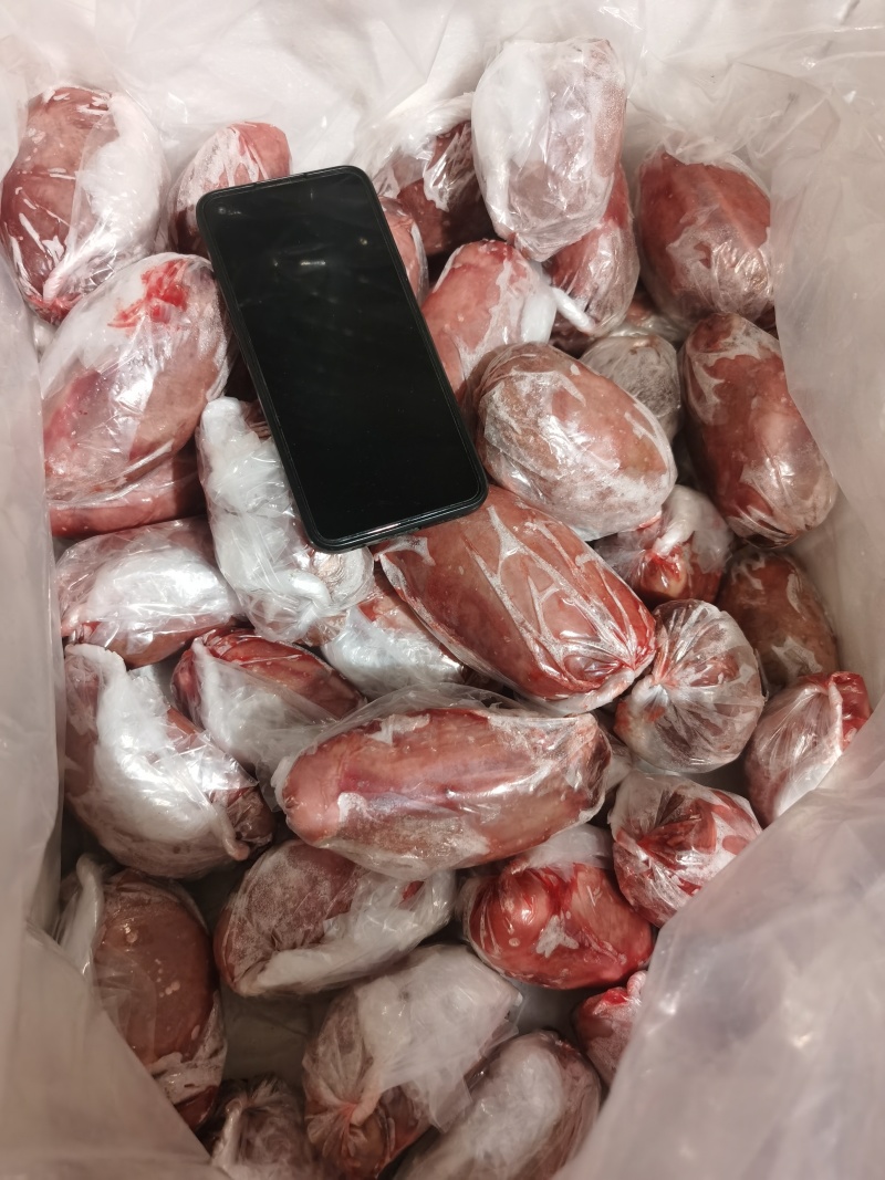 羊宝羊外要羊蛋大量有货价格美丽欢迎来电咨询