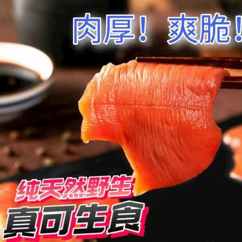 北极冰山蚌北极裙边北极贝裙边刺身北极裙边北极贝