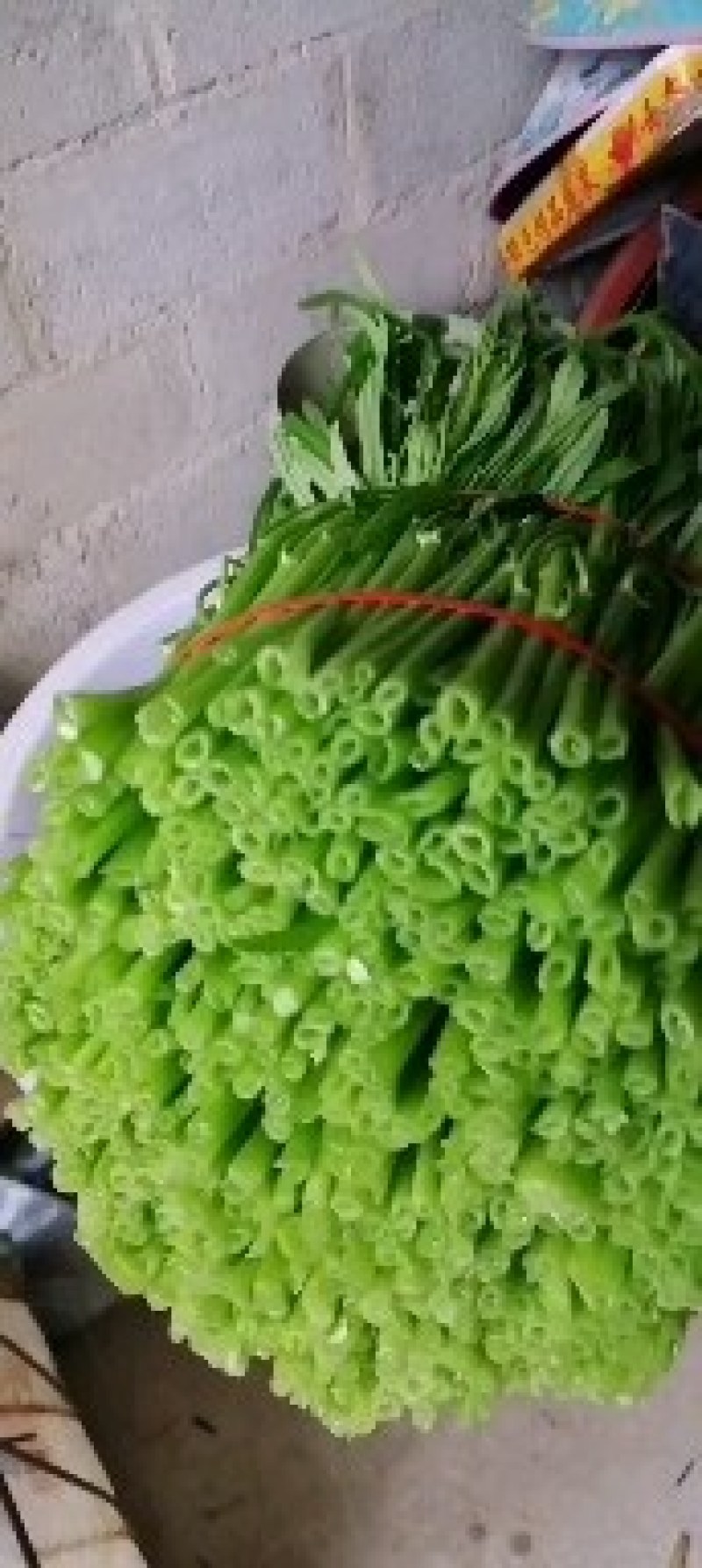 正宗博白柳叶空心菜，又名雍菜，广大人民爱吃的。好吃不腻