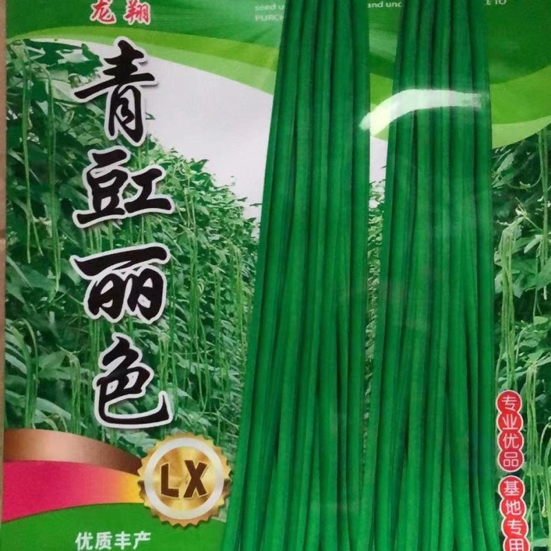 特长青豇豆，荚长，早熟，高产耐病，春，夏，秋可播种。