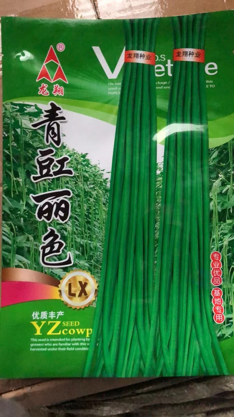 特长青豇豆，荚长，早熟，高产耐病，春，夏，秋可播种。