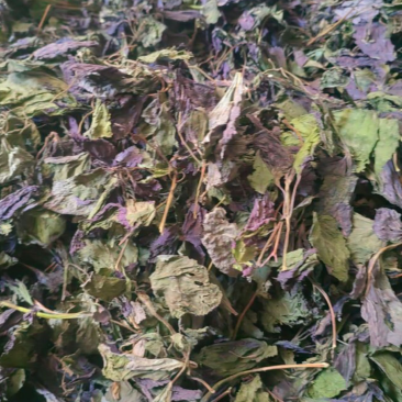 紫苏叶，干货，机压包