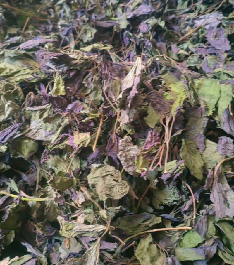 紫苏叶，干货，机压包
