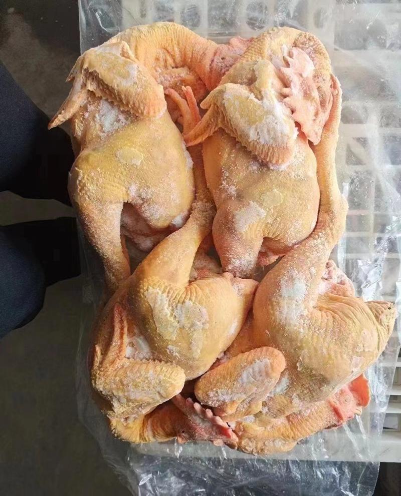 大冠公鸡，9.5公斤5/6只装，1件起售