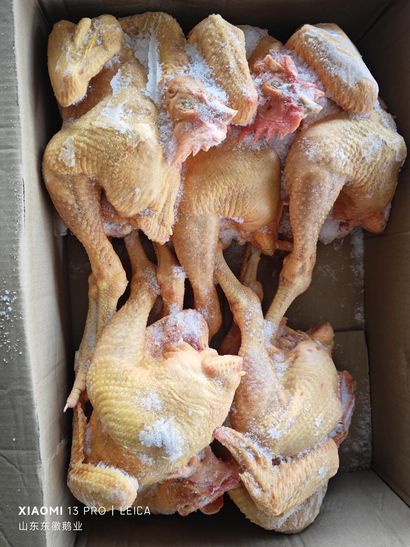 大冠公鸡，9.5公斤5/6只装，1件起售