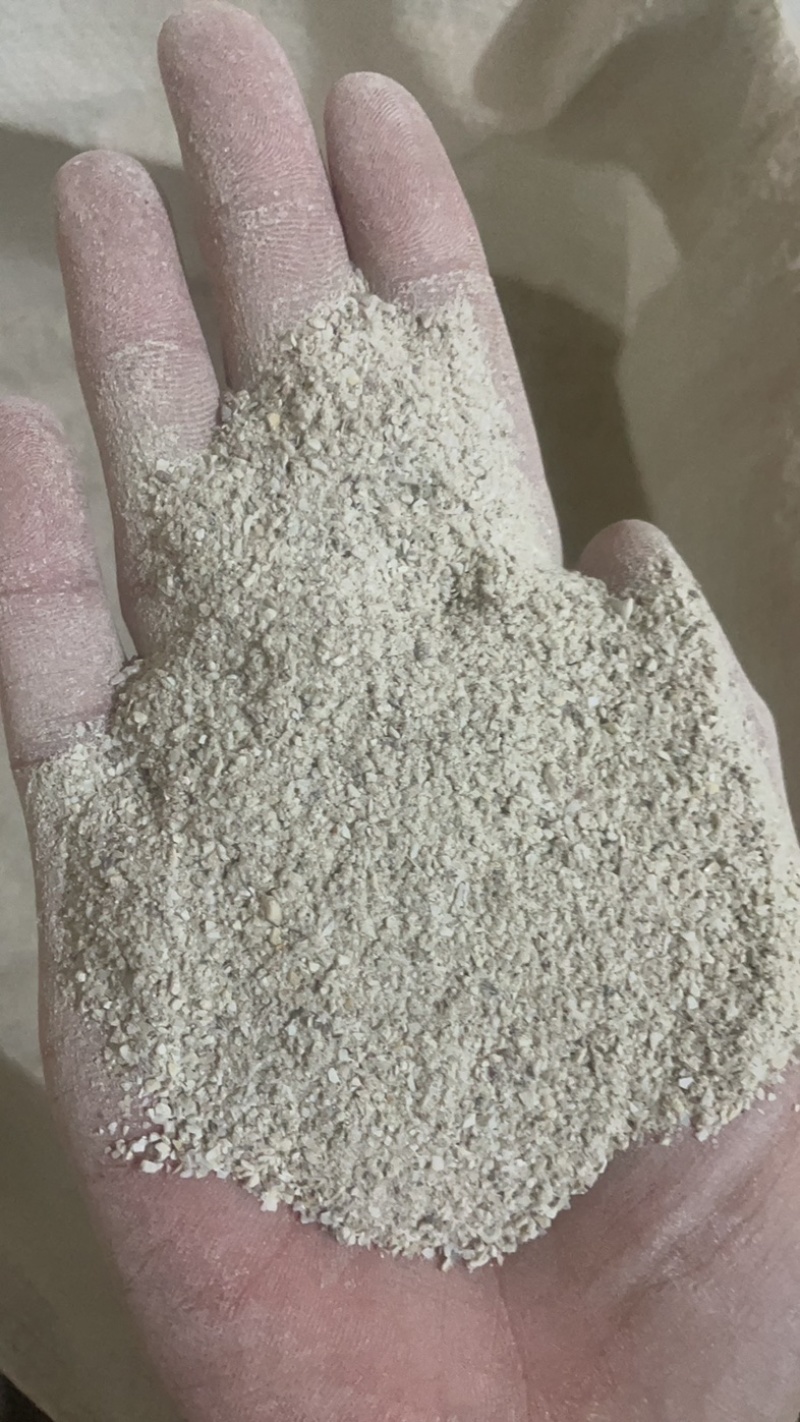 海蛤粉蛤粉中药材蛤壳粉海哈粉