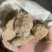 琥珀保庆药业黑琥珀琥珀米实拍发货如图黑心琥珀