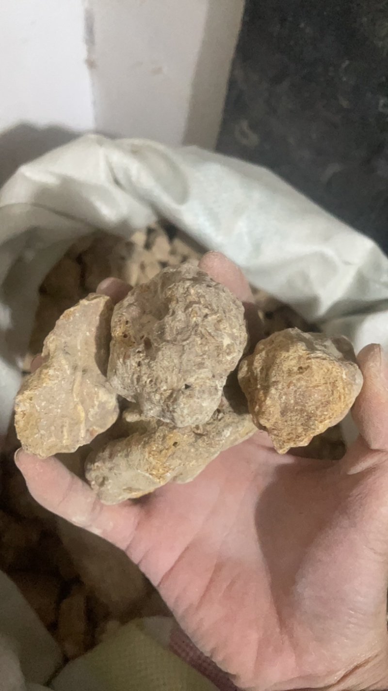 琥珀保庆药业黑琥珀琥珀米实拍发货如图黑心琥珀