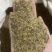 琥珀保庆药业黑琥珀琥珀米实拍发货如图黑心琥珀
