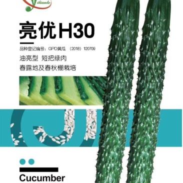 密刺黄瓜种子亮优H30翠绿色瓜条顺直绿肉品质好高产