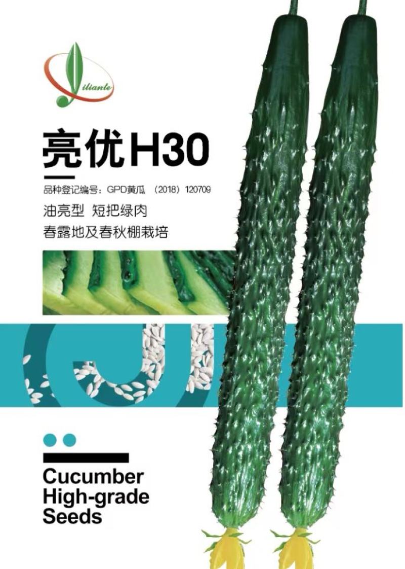 密刺黄瓜种子亮优H30翠绿色瓜条顺直绿肉品质好高产