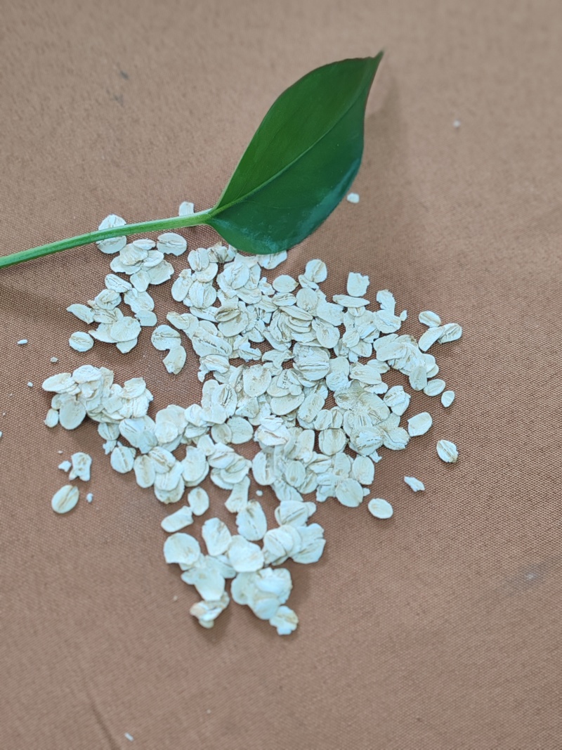 有机燕麦片（即食），大量有货，欢迎各位老板咨询
