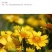 堆心菊花种子籽多年生耐寒耐热景观园林绿化庭院四季易种活花