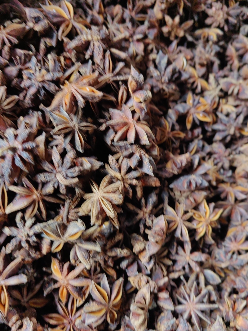 广西无硫大红八角，源头厂家，货源充足，品质保证