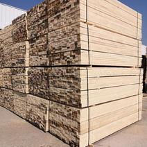 广西松木，木材料加工各种各样的木