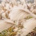 野生茅草种子白茅根草种子白茅草种子白茅花丝茅花白茅