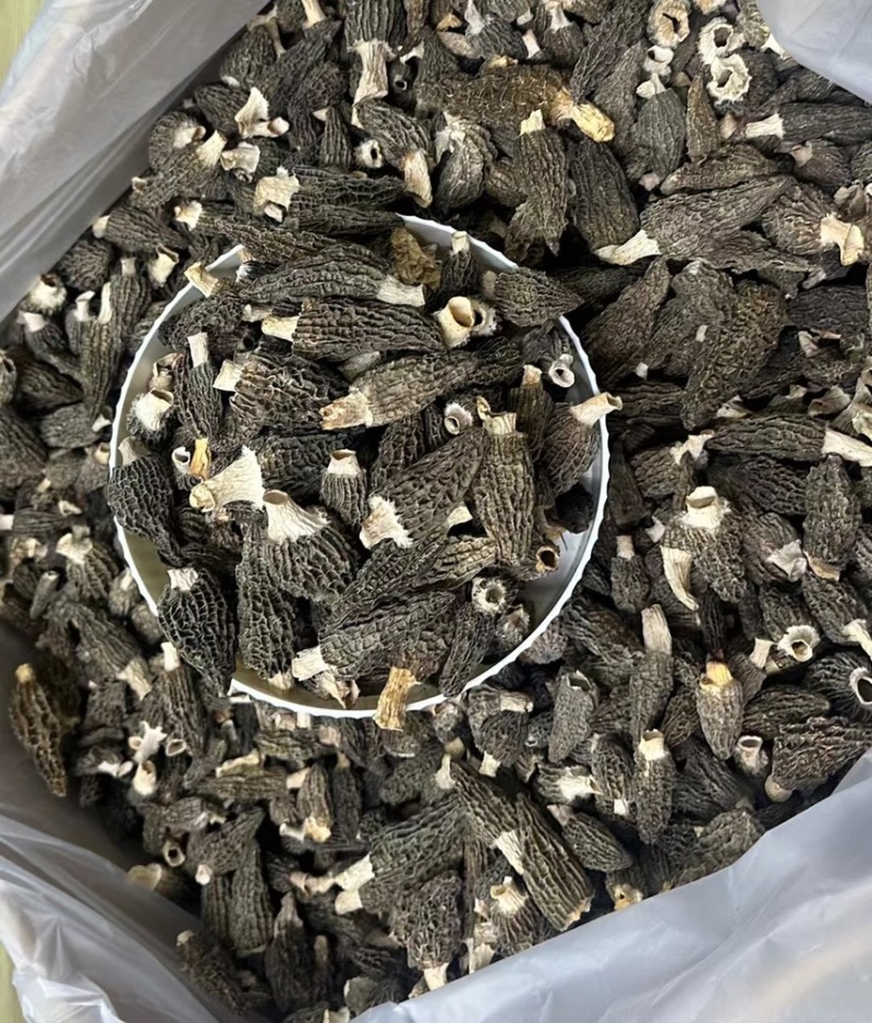 羊肚菌/草莓型羊肚菌/头茬羊肚菌