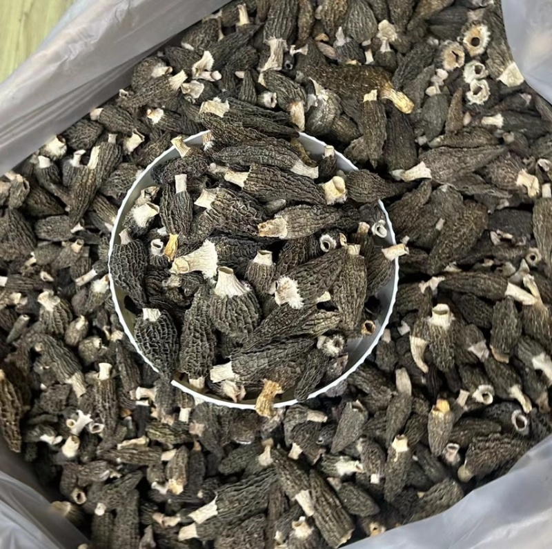 羊肚菌/草莓型羊肚菌/头茬羊肚菌