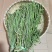 【精品贡菜】贡菜批发精选脱水蔬菜贡菜干货，全国供应
